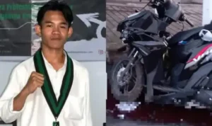 IMG_20240408_183119-625x500