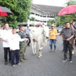 IMG-20240614-WA0040-768x512