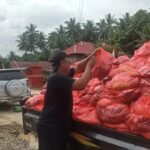 PHOTO-2024-08-17-21-54-25 (1)