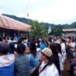 IMG-20241101-WA0258-768x346