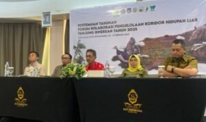 AB7526F9-756F-4C68-A782-9B2A8A6E2880