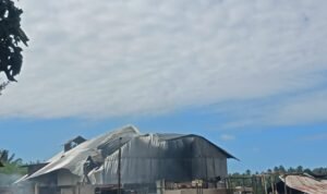 PHOTO-2025-05-30-15-56-53 (1)