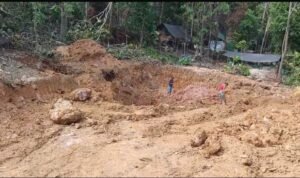 DAF8DD38-F555-4386-8F63-79281B91ECE7